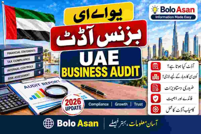 UAE Business Audit