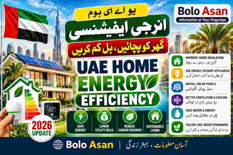 UAE Home Energy Efficiency