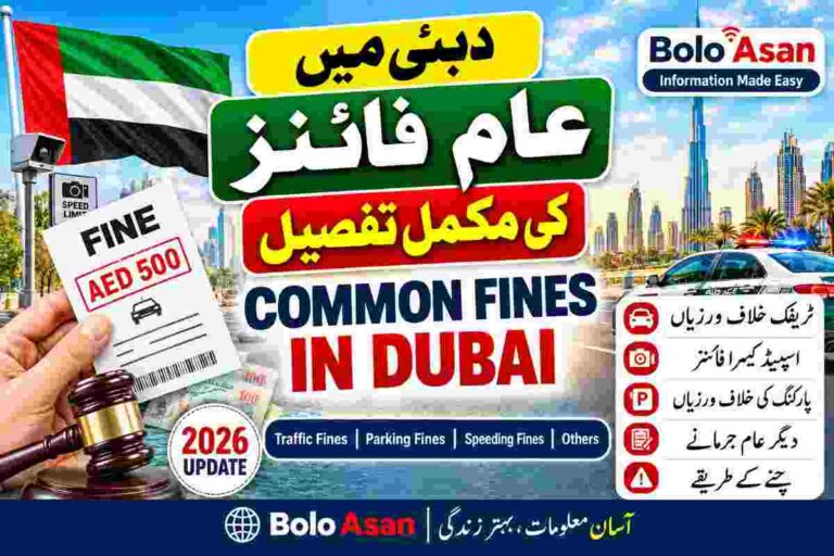 Common Fines in Dubai